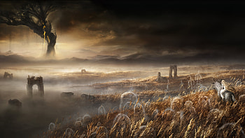 Elden Ring: Shadow Of The Erdtree DLC, video game, Elden Ring, Elden Ring Shadow of the Erdtree HD wallpaper