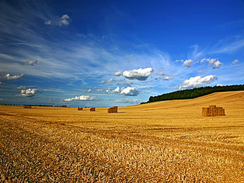 Landscape, Fields, Sky HD wallpaper