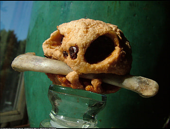 Apple skull, halloween, holidays, skull, autumn, apple, seasons HD wallpaper