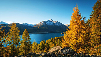 Autumn at Lake Sils in Switzerland, fall, landscape, trees, colors, sky, water, mountains HD wallpaper
