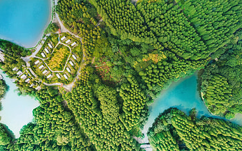 Coast, aerial view, green trees, nature HD wallpaper