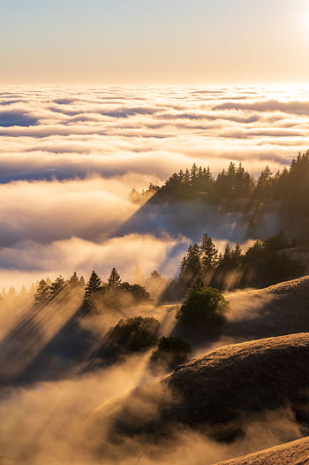 Sunrise casts golden rays over rolling fog and forested hills, creating a dramatic landscape. HD phone wallpaper