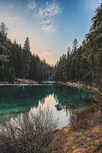 Beautiful tranquil forest lake landscape with trees reflecting in water at dusk. HD phone wallpaper