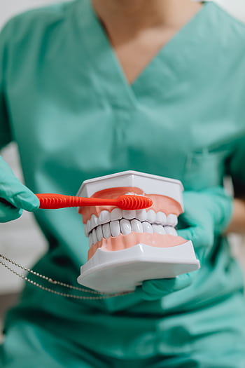 A dentist in scrubs demonstrates brushing technique using a dental model. HD phone wallpaper