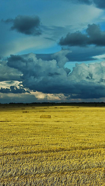 Ukraine , que landscapes, Vibrant colors, Immersive experience HD phone wallpaper