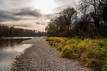 Nature, Water, Rivers, Trees, Shore, Bank HD wallpaper