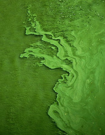 Abstract, Texture, Liquid HD phone wallpaper