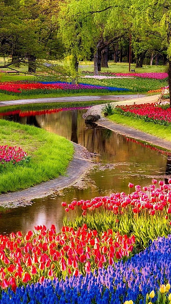 Flowers , Beautiful, Spring Garden HD phone wallpaper