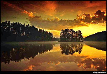 A new day has begun, golden, clouds, trees, sky, water, lake, reflections HD wallpaper