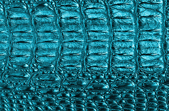 Macro, Structure, Texture, Textures, Scales, Scale HD wallpaper