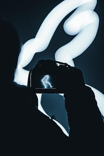 Dark, Neon, grapher, Camera, Rabbit HD phone wallpaper