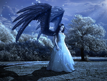 Angel, night, blue, wings, white, girl, dress, tree, woman, fantasy, luminos HD wallpaper