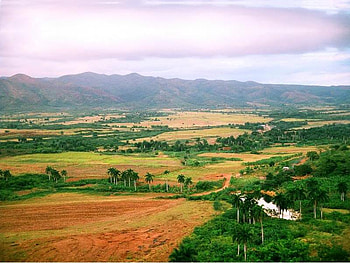 Open Field in Vinales, trees, sky, field, mountain HD wallpaper