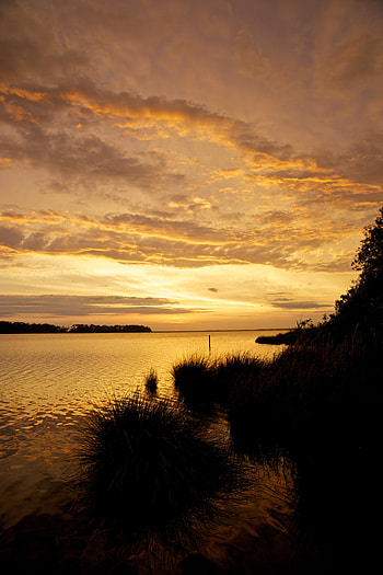 Nature, Rivers, Sunset, Twilight, Shore, Bank, Dark, Dusk HD phone wallpaper