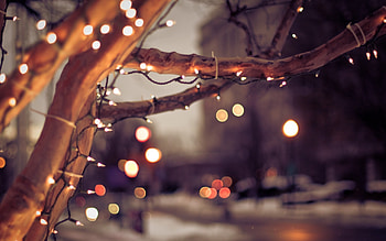 Winter in the City HD wallpaper