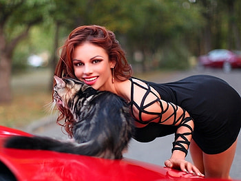 two cats, sexy, cats, black, girls HD wallpaper