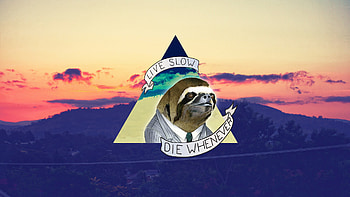 My collection of sloth . Let me know if I'm missing any good ones. : sloths HD wallpaper