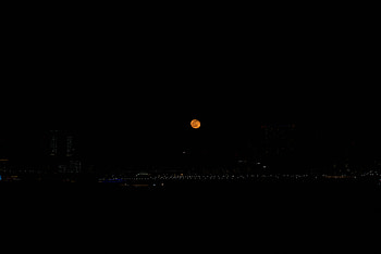 Night, Moon, Night City, Full Moon HD wallpaper