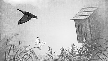 No Color Summer, bird, firefox persona, grass, gray, butterfly, abstract, black and white, clouds, sky, bird house HD wallpaper