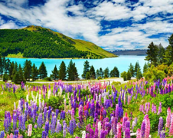 Beautiful Scenery, sky, nature, flowers, mountain HD wallpaper