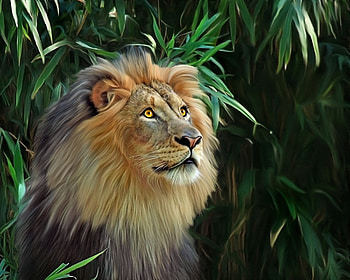 Lion, animal, digital, leu, painting, art, pictura, green HD wallpaper
