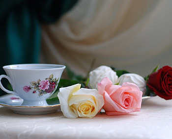 Morning Tea Roses, still life, tea, roses, morning, flowers HD wallpaper
