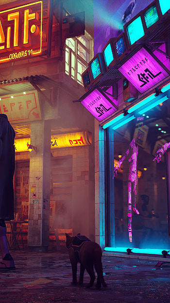 Stray game, PS5 , Stunning graphics, Console-exclusive experience HD phone wallpaper
