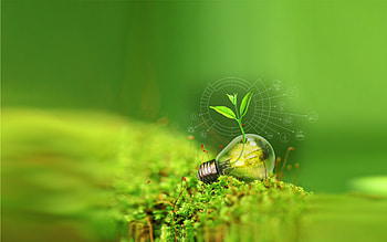 Go Green, High-definition , Posted by Ryan Simpson HD wallpaper