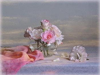 Pale Pink &White Rose, pastel, white, pale, soft, vase, beautiful, spring, rose, pink, delicate, pretty, nature HD wallpaper