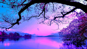 Purple Beach HD wallpaper