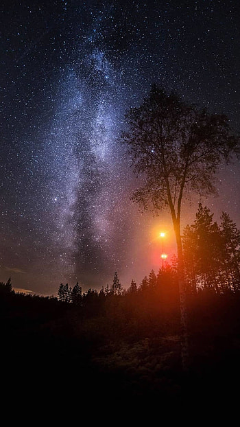 Night Sky, Starry Night HD phone wallpaper