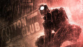 Spider Noir 2020, spiderman, superheroes, artwork HD wallpaper