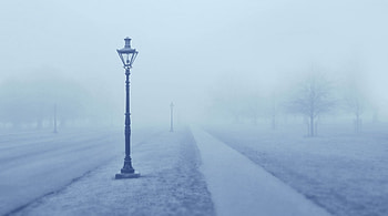 Empty alley, winter, street, nature, lamps HD wallpaper