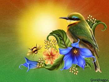 BEE EATER BIRD, ART, CREATION, , BIRD HD wallpaper