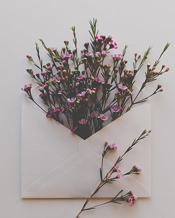 Flowers, Miscellanea, Miscellaneous, Bouquet, Envelope HD phone wallpaper