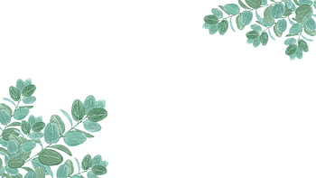 Elegant watercolor leaf illustration on white for versatile use. HD wallpaper