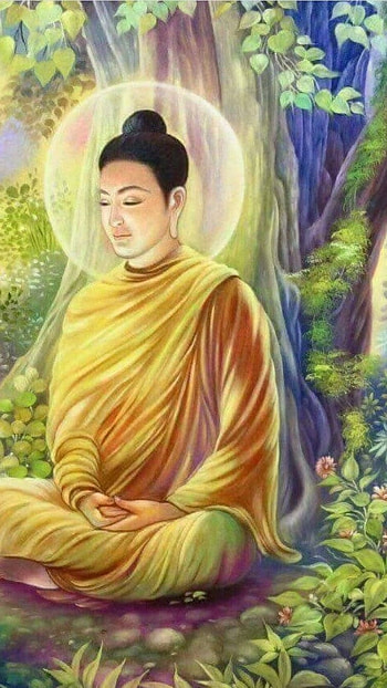 Buddha, Lord HD phone wallpaper