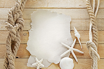 Marine Still Life, starfish, marine, shell, wood HD wallpaper