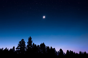 Nature, Trees, Sky, Night HD wallpaper