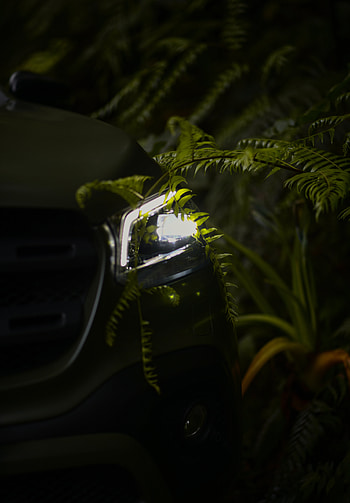 Night, Dark, Shine, Light, Fern, Car, Machine, Headlight HD phone wallpaper