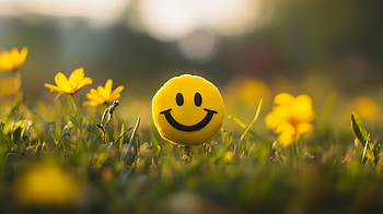 Bright Smiles: A Happy, smiley, happiness, Happy, smiley face, flower HD wallpaper