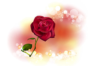 Abstract, Flower, Glare, Shine, Light, Rose Flower, Rose HD wallpaper