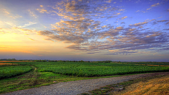 Nature, Grass, Sky, Summer, Field HD wallpaper