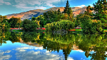 Reflection of nature, reflection, brush, trees, , wilderness, mountains, water, lake, graphy HD wallpaper