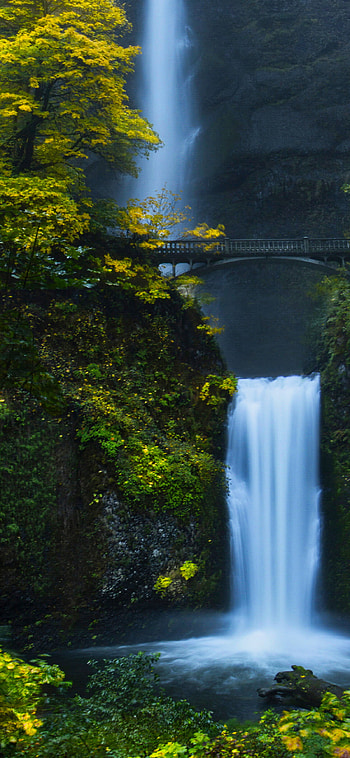 Forest waterfall scene, , Serene nature, que view HD phone wallpaper