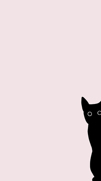 Lock screen pink cat, bombay, whiskers, minimalist HD phone wallpaper