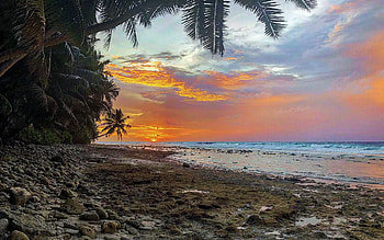 Sunset view from Cannon Point on the island of Diego Garcia, palms, sea, clouds, colors, sky, ocean HD wallpaper