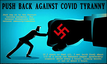 Push Back By Saying No, faith, pandemic, chills, illness, fever, coronavirus, quarantine, healing, sweats, sick, hope, well-being, virus, retired, miracle, supernatural, COVID-19, religious, fascist, positive, love, seniors, bronchitus, uplifting, wisdom, sinusitus, peace, flu, home remedies, coughs, sniffles, fitness, natural, health, inspiring, colds HD wallpaper