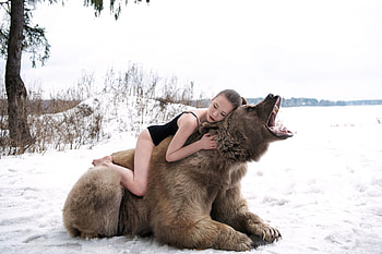 Swimsuit Model Posing on a Bear, swimsuit, model, bear, blonde, snow HD wallpaper