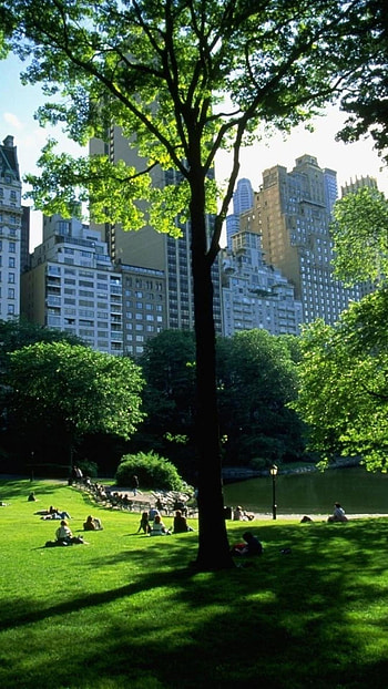 Top-quality Central Park , Breathtaking scenery, Stunning backgrounds, High-resolution HD phone wallpaper